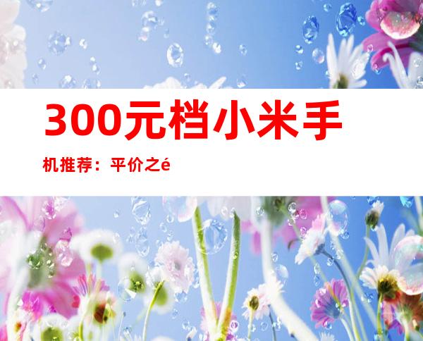 300元档小米手机推荐：平价之选，性价比出众